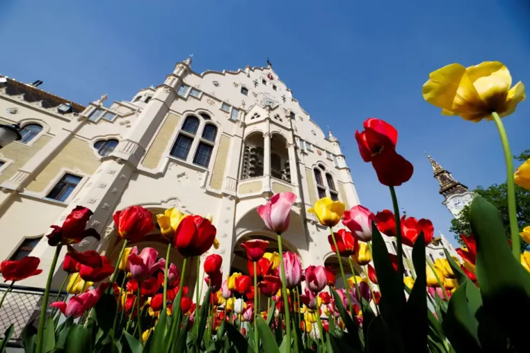 Indul a nevezés a Virágos Magyarország versenyre