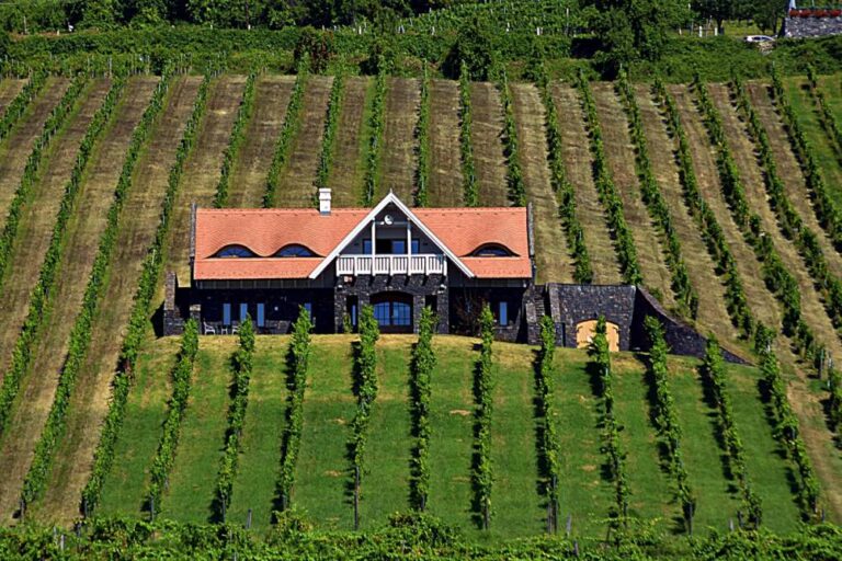 Balatoni turizmus: már nem csak a strand vonzza a vendégeket