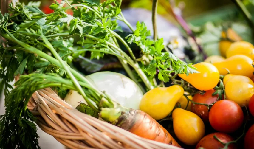 Az előfizetéses zöldségkosár változatos és vegyszermentes