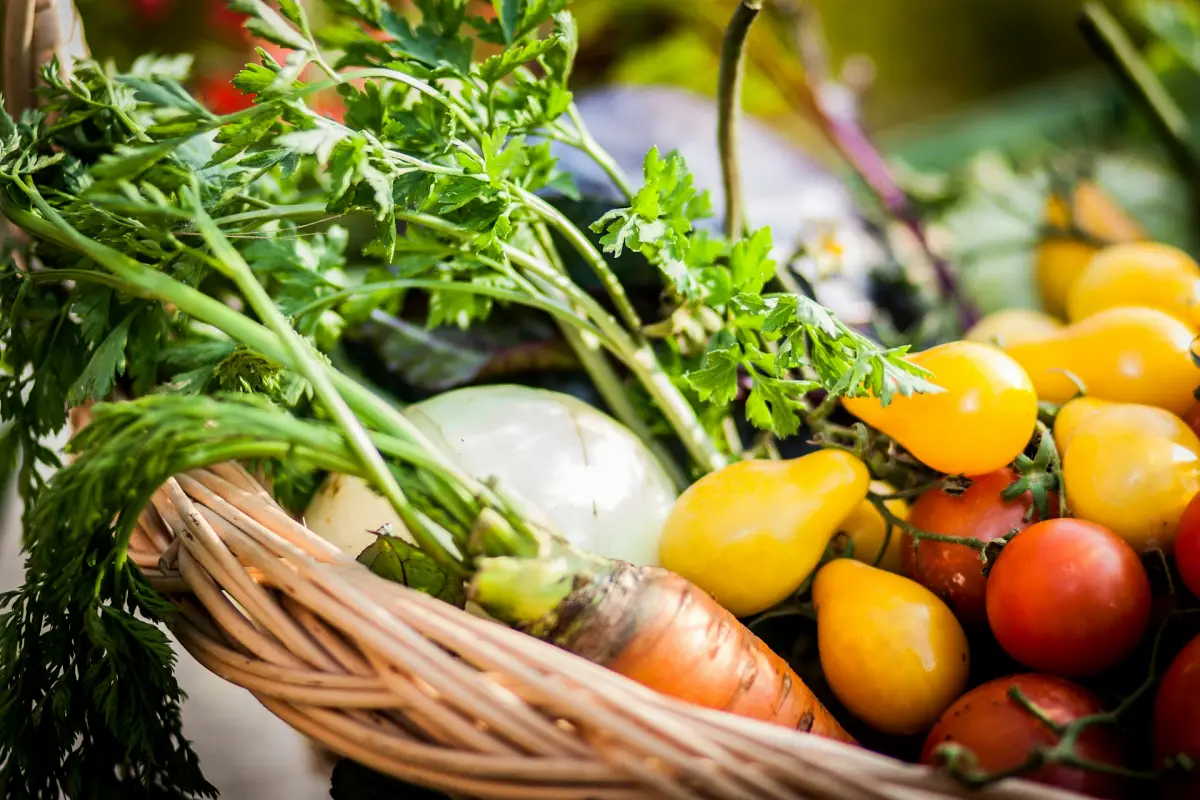 Az előfizetéses zöldségkosár változatos és vegyszermentes