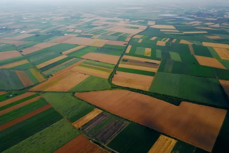 Termőföldek